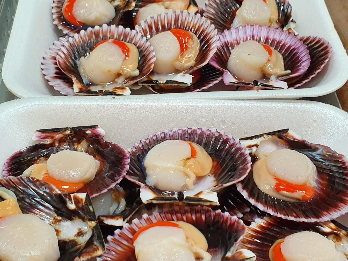 Casa Herbellas 塞代拉 外观 照片
